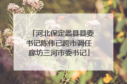 河北保定蠡县县委书记陈伟已跨市调任廊坊三河市委书记