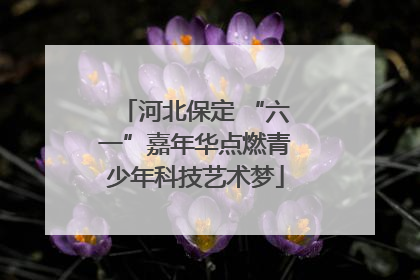 河北保定 “六一”嘉年华点燃青少年科技艺术梦