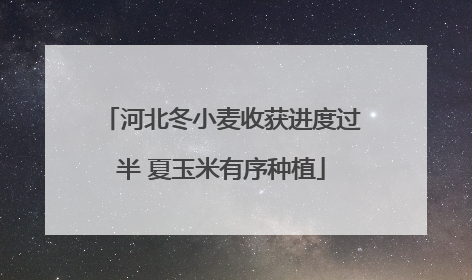 河北冬小麦收获进度过半 夏玉米有序种植