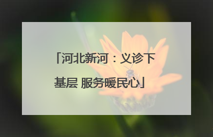 河北新河：义诊下基层 服务暖民心