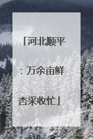 河北顺平：万余亩鲜杏采收忙