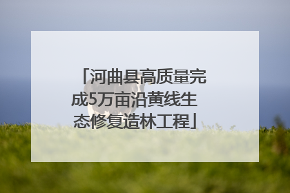 河曲县高质量完成5万亩沿黄线生态修复造林工程