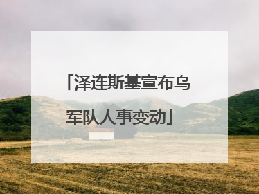 泽连斯基宣布乌军队人事变动