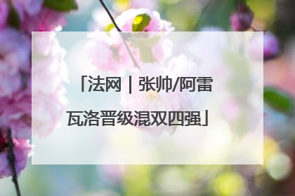 法网｜张帅/阿雷瓦洛晋级混双四强
