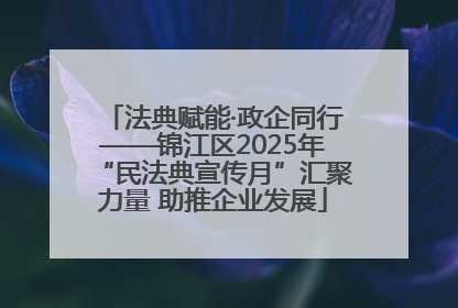 法典赋能·政企同行——锦江区2025年“民法典宣传月”汇聚力量 助推企业发展