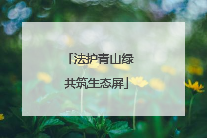 法护青山绿 共筑生态屏