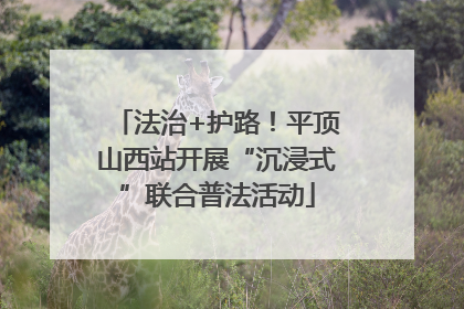 法治+护路！平顶山西站开展“沉浸式”联合普法活动