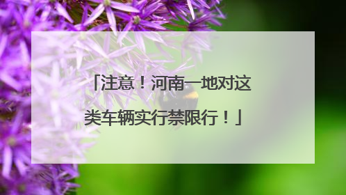 注意！河南一地对这类车辆实行禁限行！