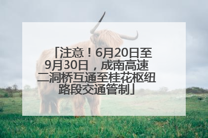注意！6月20日至9月30日，成南高速二洞桥互通至桂花枢纽路段交通管制