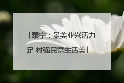 泰宁：景美业兴活力足 村强民富生活美