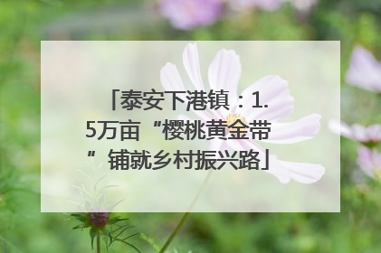 泰安下港镇：1.5万亩“樱桃黄金带”铺就乡村振兴路
