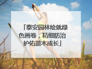 泰安园林绘就绿色画卷，精细防治护佑苗木成长