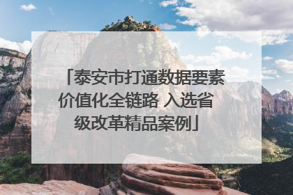 泰安市打通数据要素价值化全链路 入选省级改革精品案例