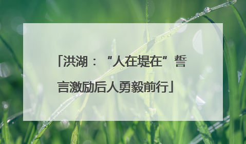 洪湖：“人在堤在”誓言激励后人勇毅前行