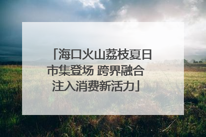 海口火山荔枝夏日市集登场 跨界融合注入消费新活力