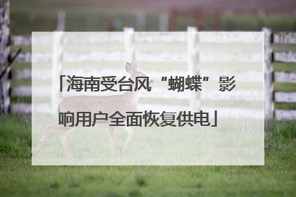 海南受台风“蝴蝶”影响用户全面恢复供电
