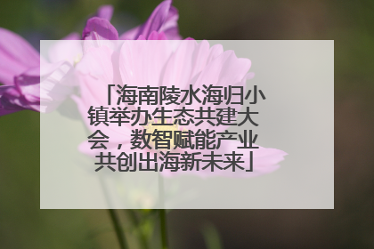 海南陵水海归小镇举办生态共建大会，数智赋能产业共创出海新未来