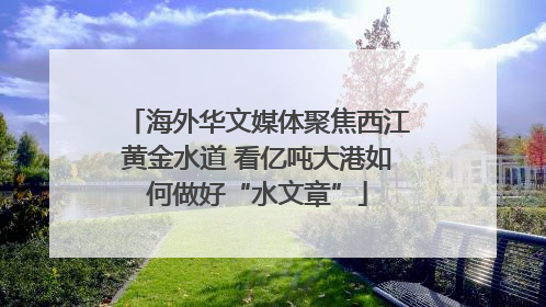 海外华文媒体聚焦西江黄金水道 看亿吨大港如何做好“水文章”
