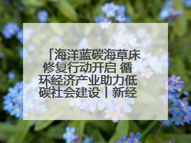 海洋蓝碳海草床修复行动开启 循环经济产业助力低碳社会建设丨新经济观察