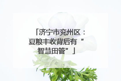 济宁市兖州区：夏粮丰收背后有“智慧田管”