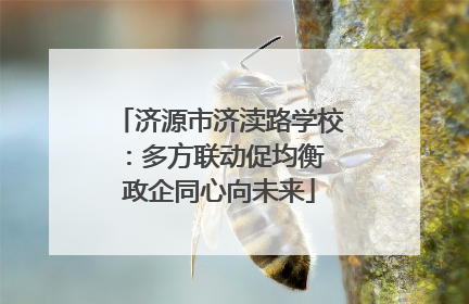 济源市济渎路学校：多方联动促均衡 政企同心向未来