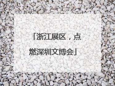 浙江展区，点燃深圳文博会