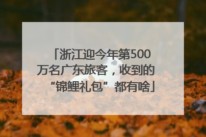 浙江迎今年第500万名广东旅客，收到的“锦鲤礼包”都有啥