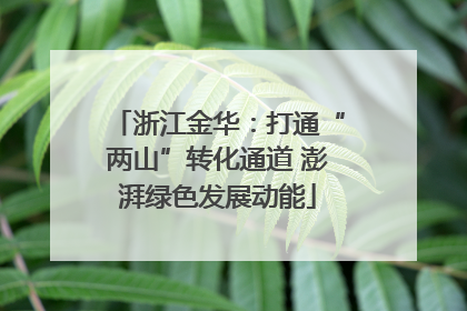 浙江金华：打通“两山”转化通道 澎湃绿色发展动能