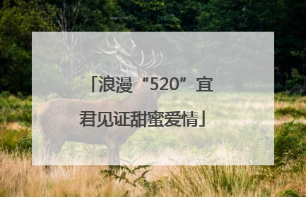 浪漫“520”宜君见证甜蜜爱情
