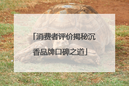 消费者评价揭秘沉香品牌口碑之道