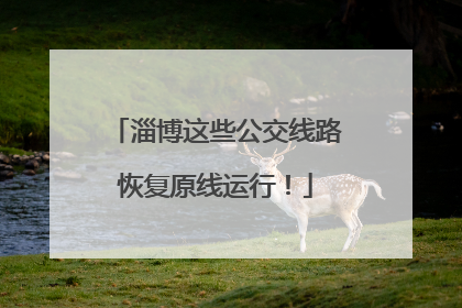 淄博这些公交线路恢复原线运行！