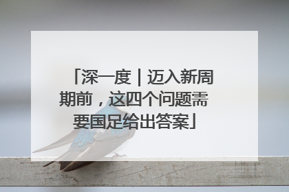 深一度｜迈入新周期前，这四个问题需要国足给出答案