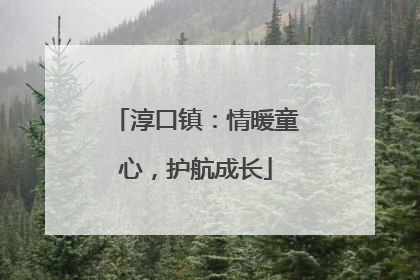 淳口镇：情暖童心，护航成长