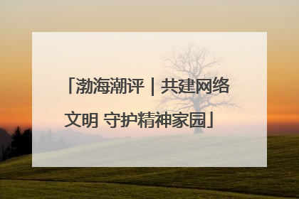 渤海潮评｜共建网络文明 守护精神家园