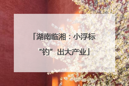 湖南临湘：小浮标“钓”出大产业