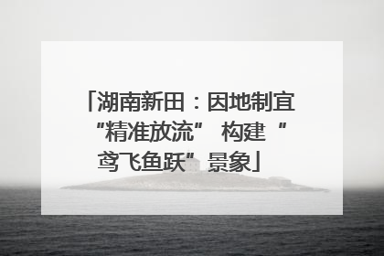 湖南新田：因地制宜“精准放流” 构建“鸢飞鱼跃”景象