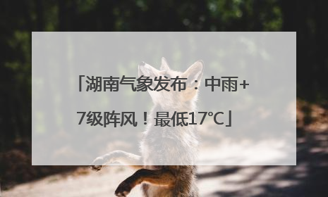 湖南气象发布：中雨+7级阵风！最低17℃