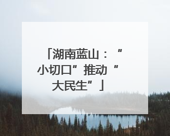 湖南蓝山：“小切口”推动“大民生”