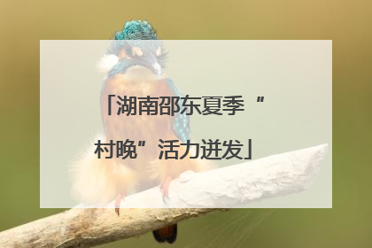 湖南邵东夏季“村晚”活力迸发