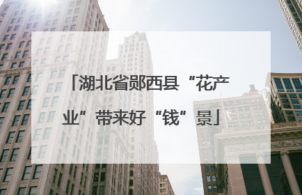 湖北省郧西县“花产业”带来好“钱”景