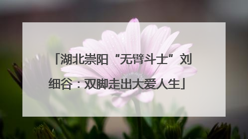 湖北崇阳“无臂斗士”刘细谷：双脚走出大爱人生