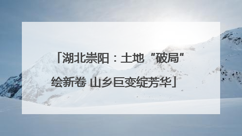 湖北崇阳：土地“破局”绘新卷 山乡巨变绽芳华