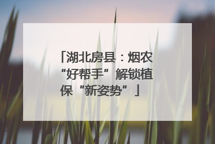 湖北房县：烟农“好帮手”解锁植保“新姿势”