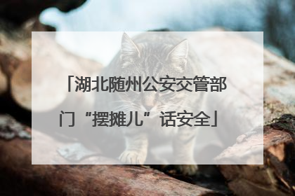 湖北随州公安交管部门“摆摊儿”话安全
