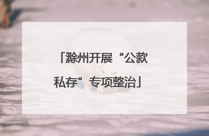 滁州开展“公款私存”专项整治