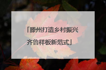滕州打造乡村振兴齐鲁样板新范式