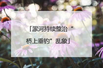 漯河持续整治“桥上垂钓”乱象