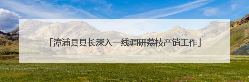 漳浦县县长深入一线调研荔枝产销工作