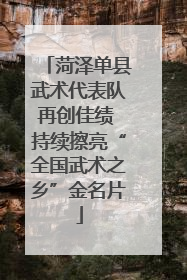 菏泽单县武术代表队再创佳绩 持续擦亮“全国武术之乡”金名片