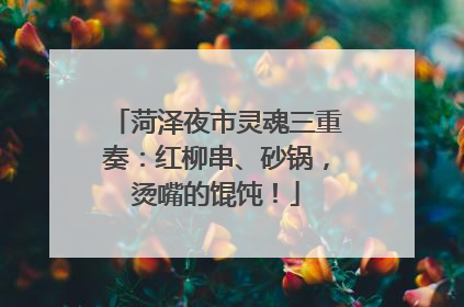 菏泽夜市灵魂三重奏：红柳串、砂锅，烫嘴的馄饨！